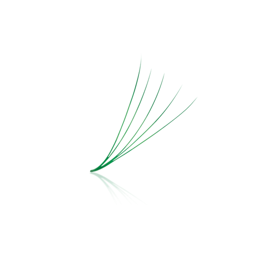 Emerald Green 5D ProMade Loose Fans - 0.07 - 475-530 Fans - Paris Lash Academy