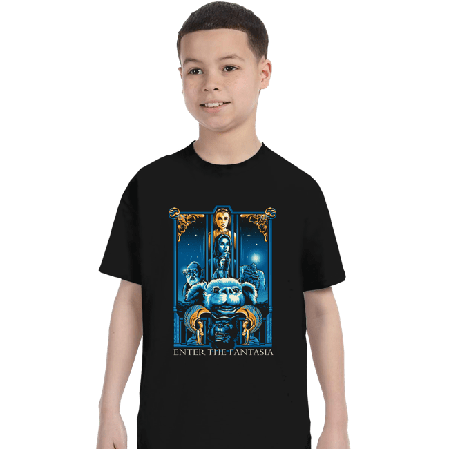 Daily_Deal_Shirts T-Shirts, Youth / XS / Black Enter The Fantasia