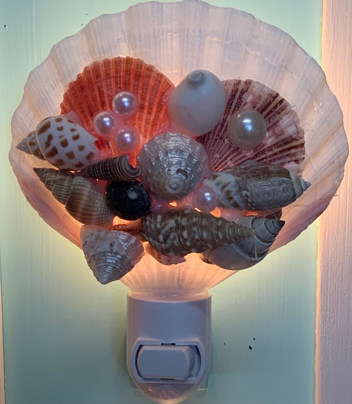 Fancy Scallop Shell Nightlight