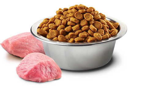 Farmina Natural & Delicious Prime Lamb and Blueberry Formula Dry Cat Food