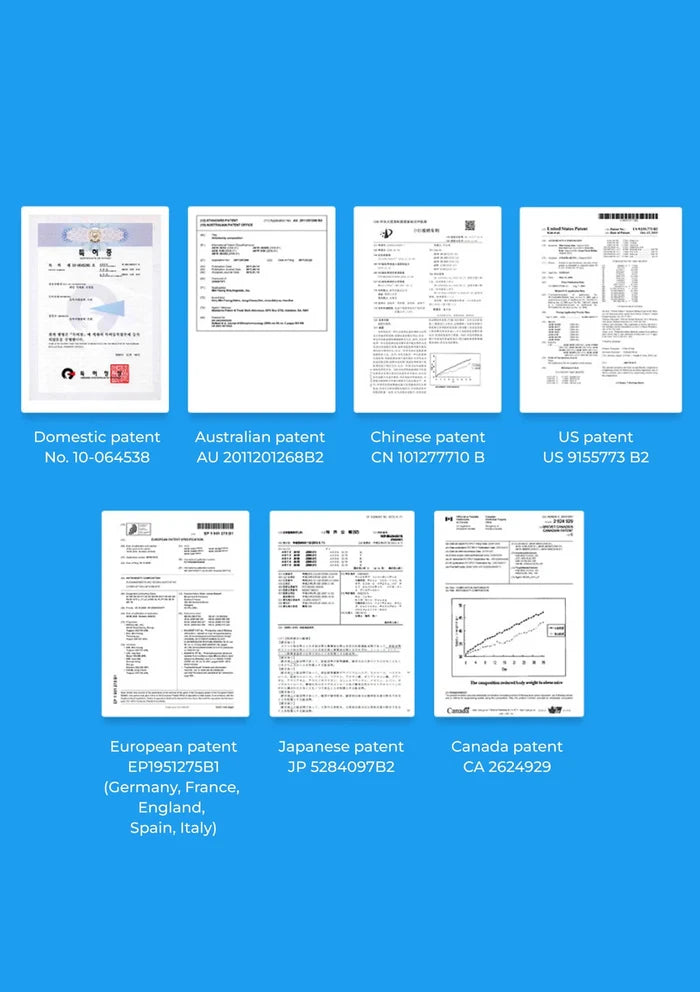 Collection of various patent documents from different countries on a blue background