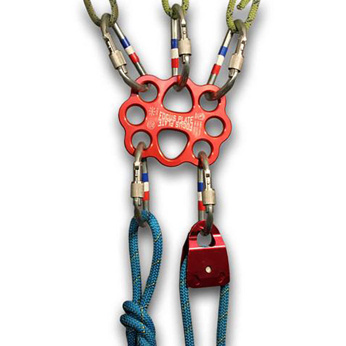 Focus Rigging Plate, In use view.