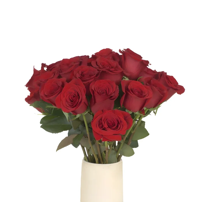 Freedom Red Rose Vase - Image