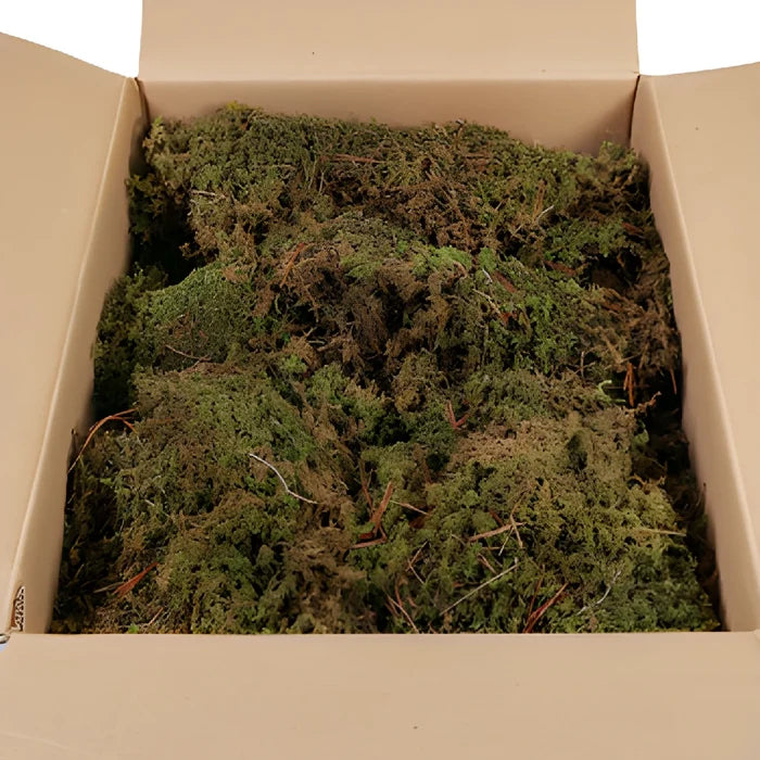 Fresh Sheet Moss