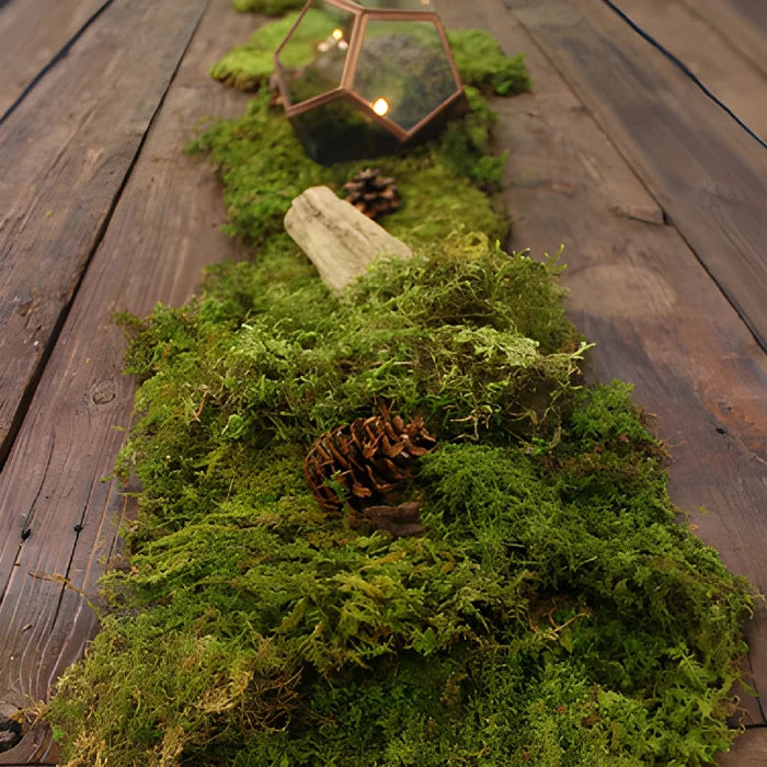 Fresh Sheet Moss