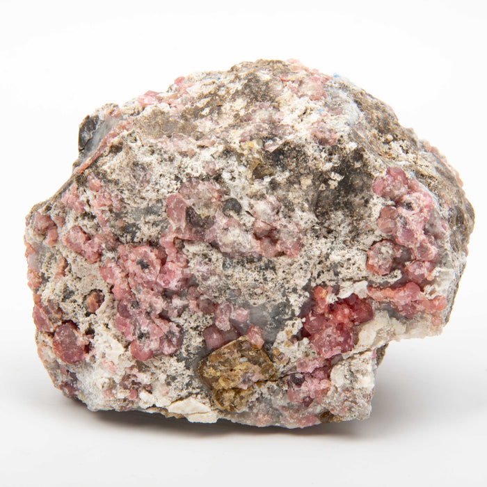 Garnet