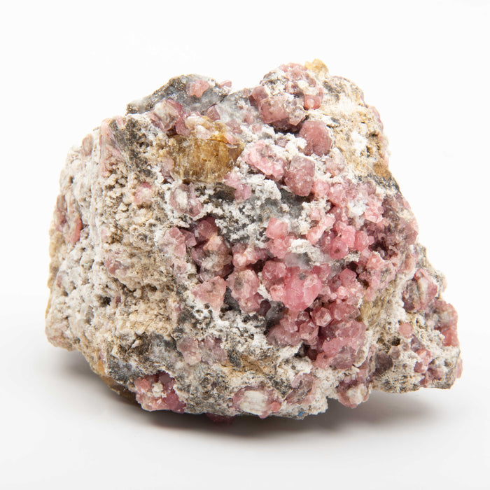Garnet
