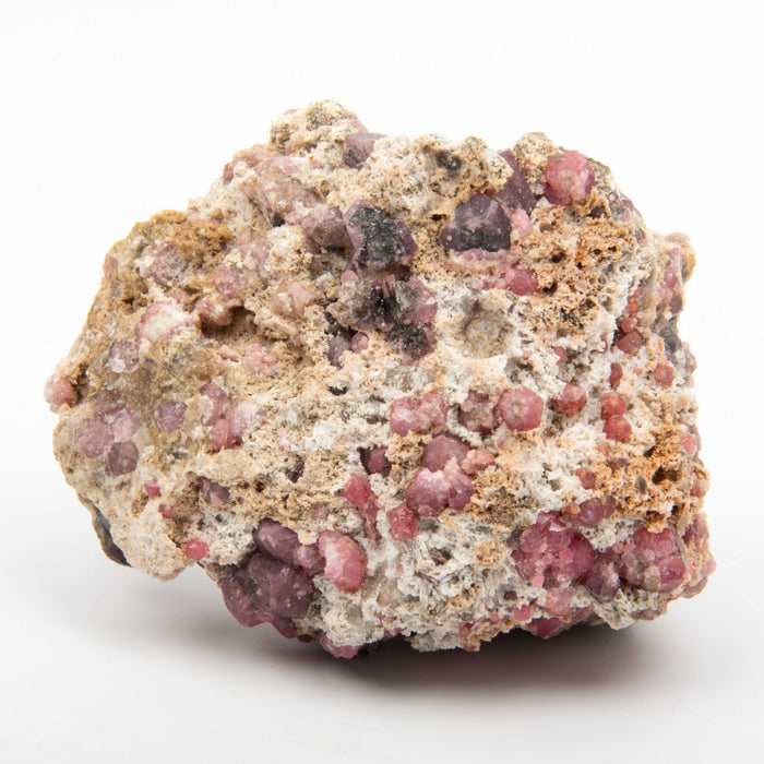 Garnet