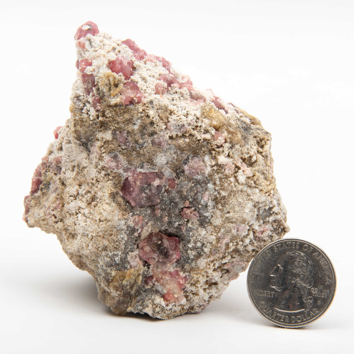 Garnet - Pink, Rough w/ Vesuvianite