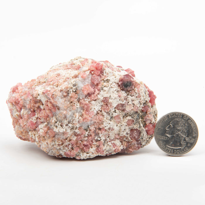 Garnet - Pink, Rough w/ Vesuvianite