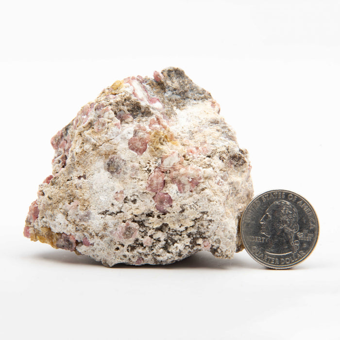 Garnet - Pink, Rough w/ Vesuvianite
