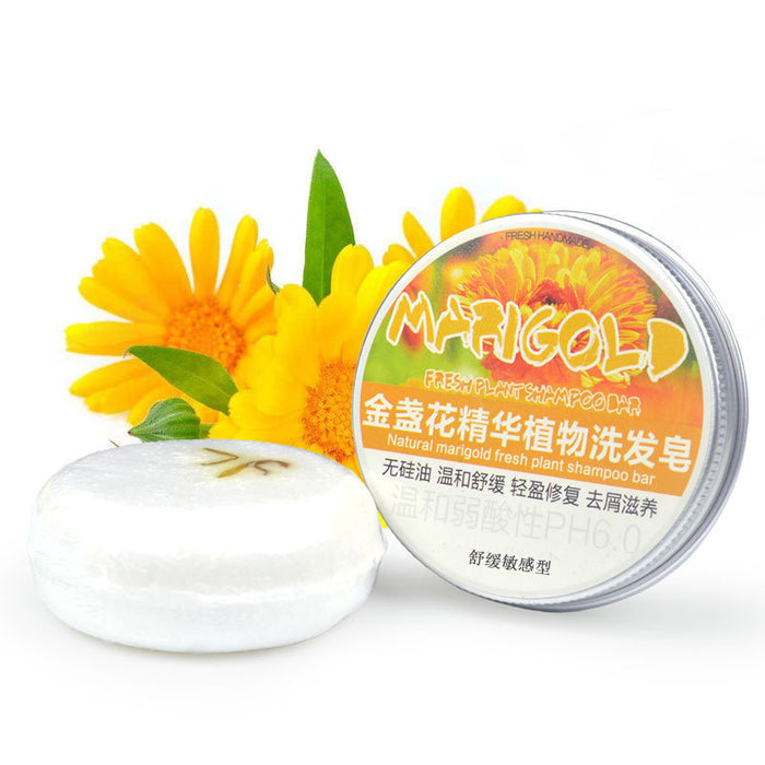 Calendula