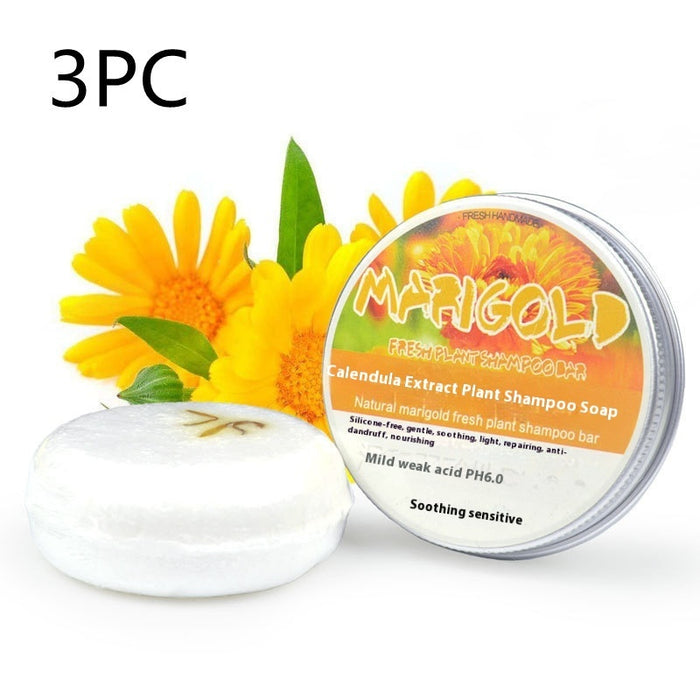 Calendula 3PC
