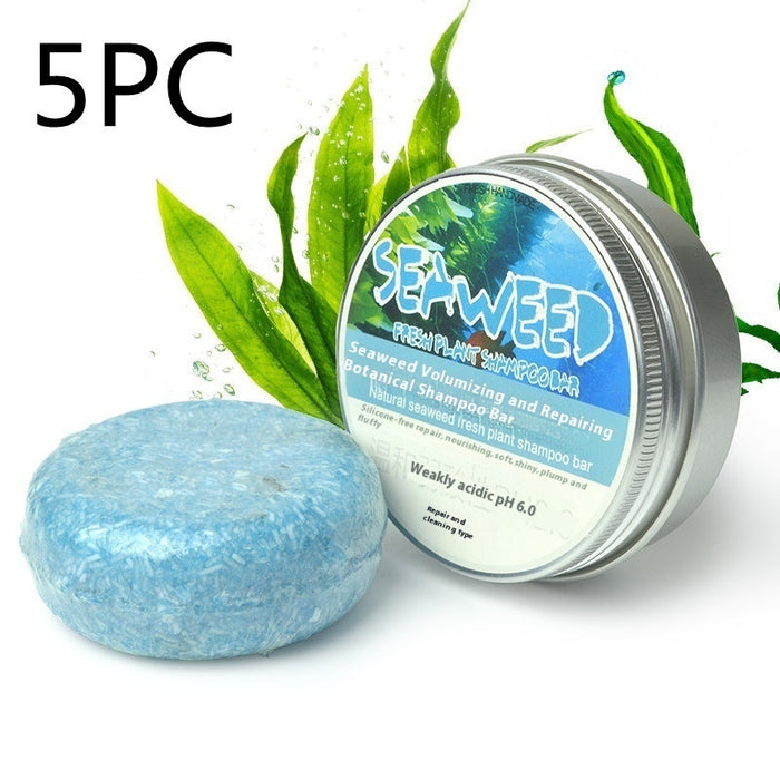 Seaweed 5PC