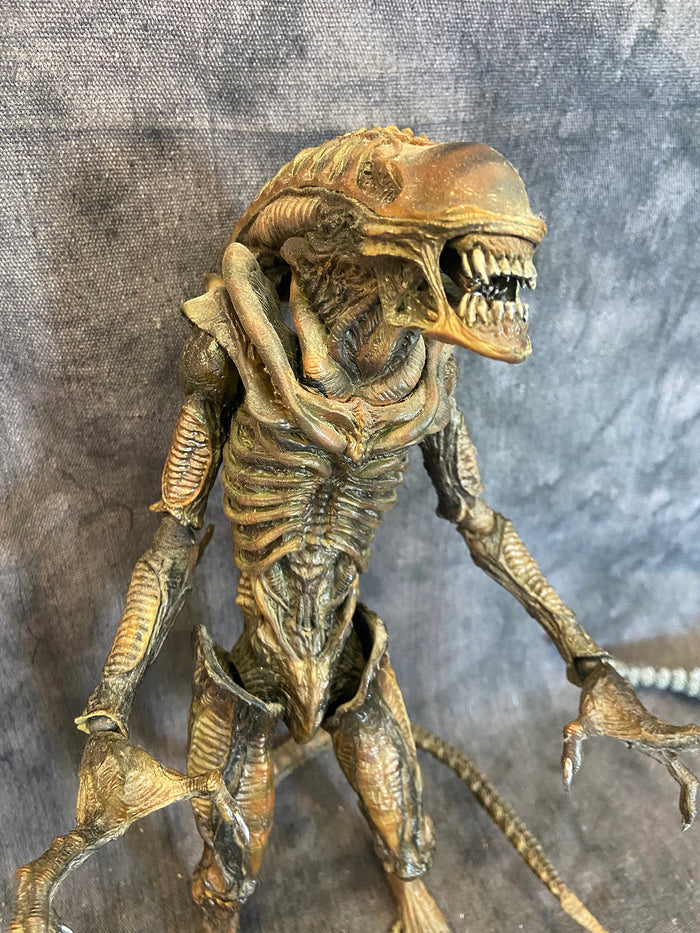 HOT TOYS ALIENS WARRIOR 1/6 FIGURE