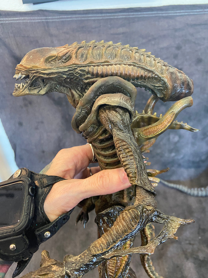 HOT TOYS ALIENS WARRIOR 1/6 FIGURE