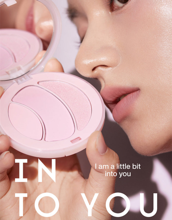 INTO YOU Matte & Pearlescent Highlighter Palette T3767
