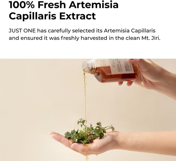 Just One Perilla Frutescens Leaf Extract