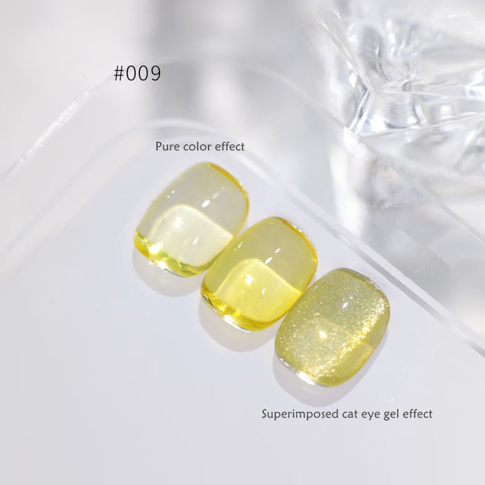 RC009