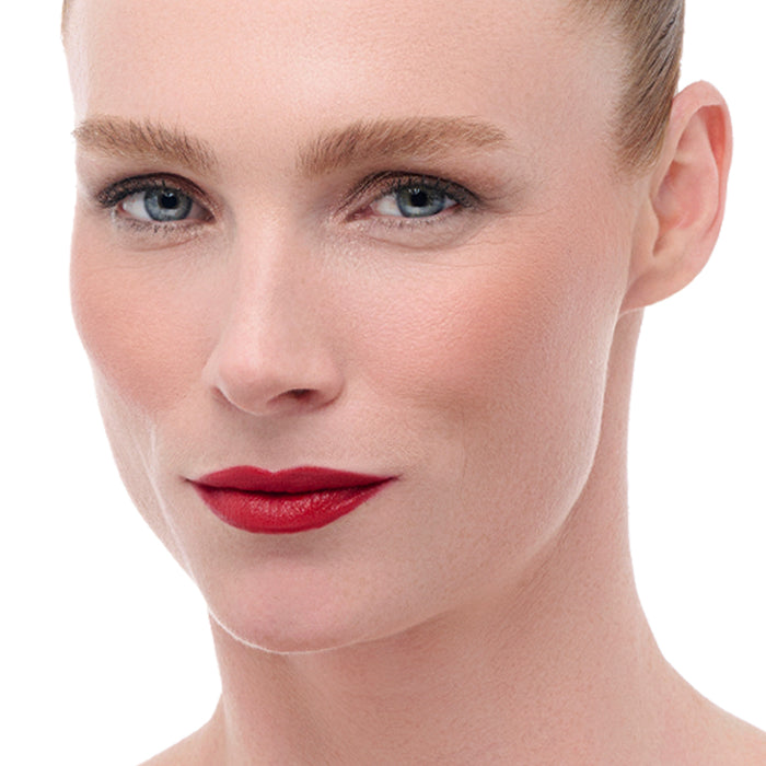 Lip Perfection Set