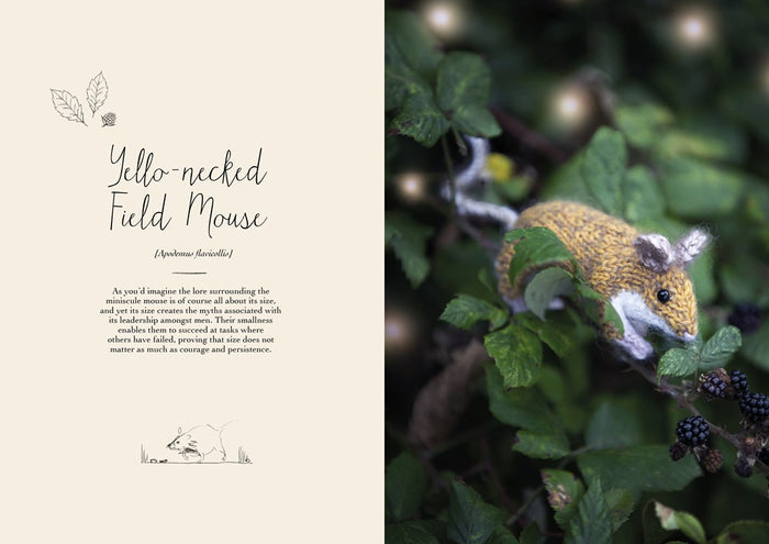 Magical Woodland Knits: Knitting patterns for 12 wonderfully lifelike animals by Claire Garland