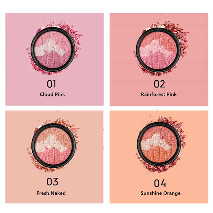 MARIE DALGAR Vitality Three-color Matte Blusher T3717