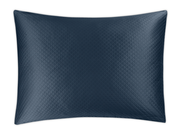 Prussian Blue / Oversize Euro