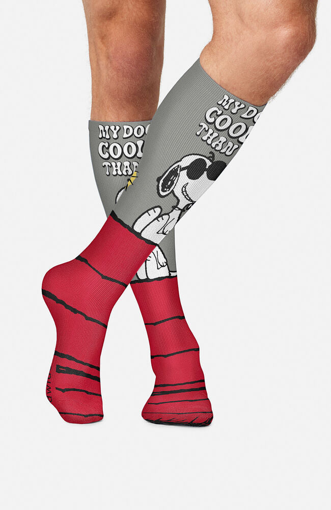 Cooler Than You