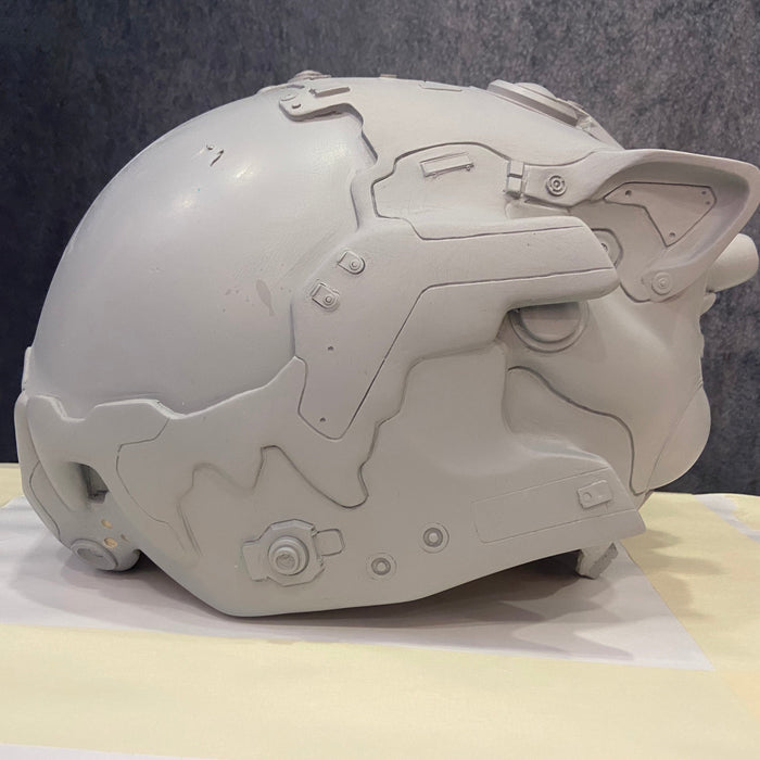 MICHELLE ONLY!! SHITTY KITTY HELMET BLANK