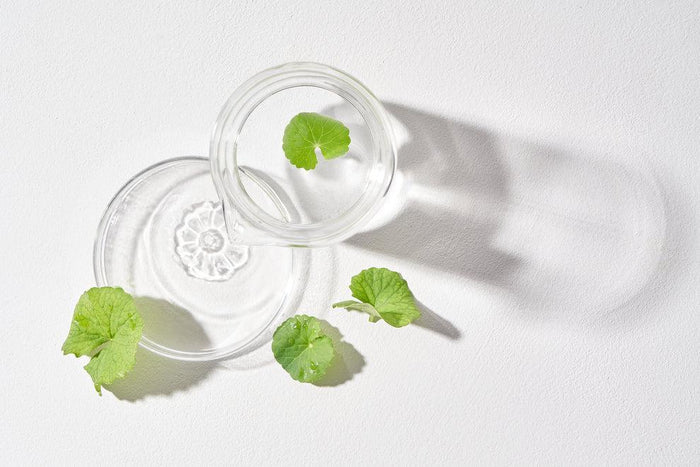 Mixsoon Centella Cleansing Water 300 mL