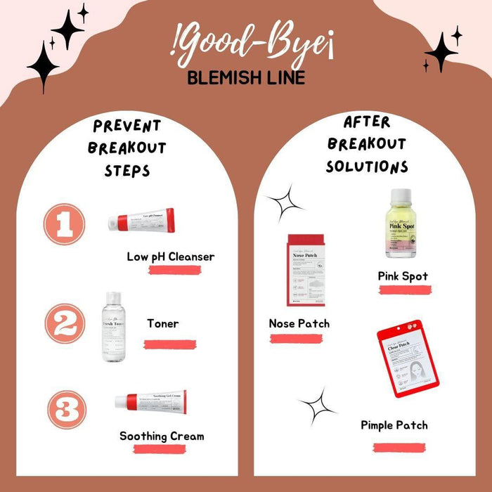 MIZON Good Bye Blemish Nose Patch 10 ea