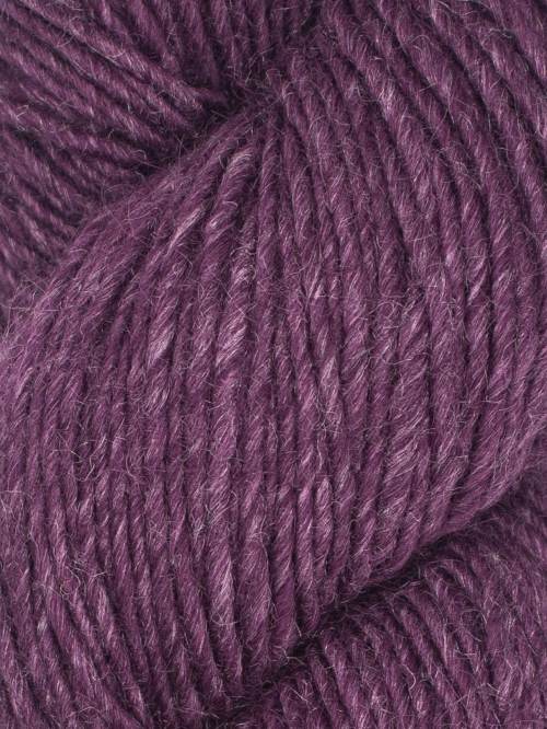 Boysenberry 81