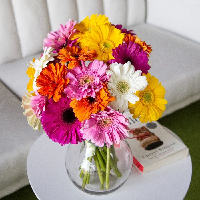 Mother's Day Gerbera Daisy Flowers