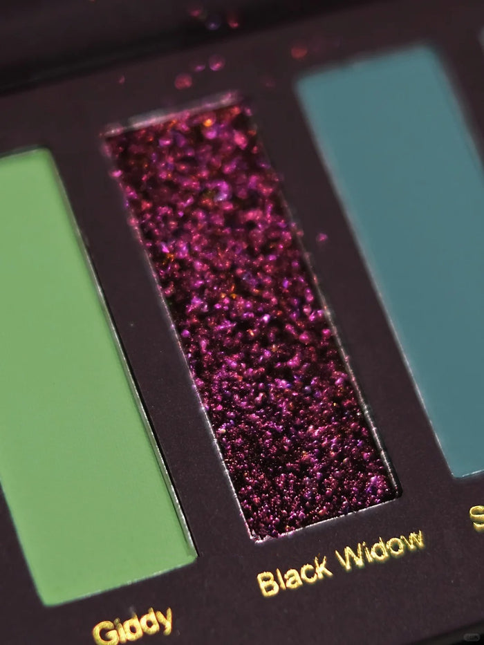 Narimi Night Spider 8-Color Chameleon Eyeshadow Palette (7.0) T4041