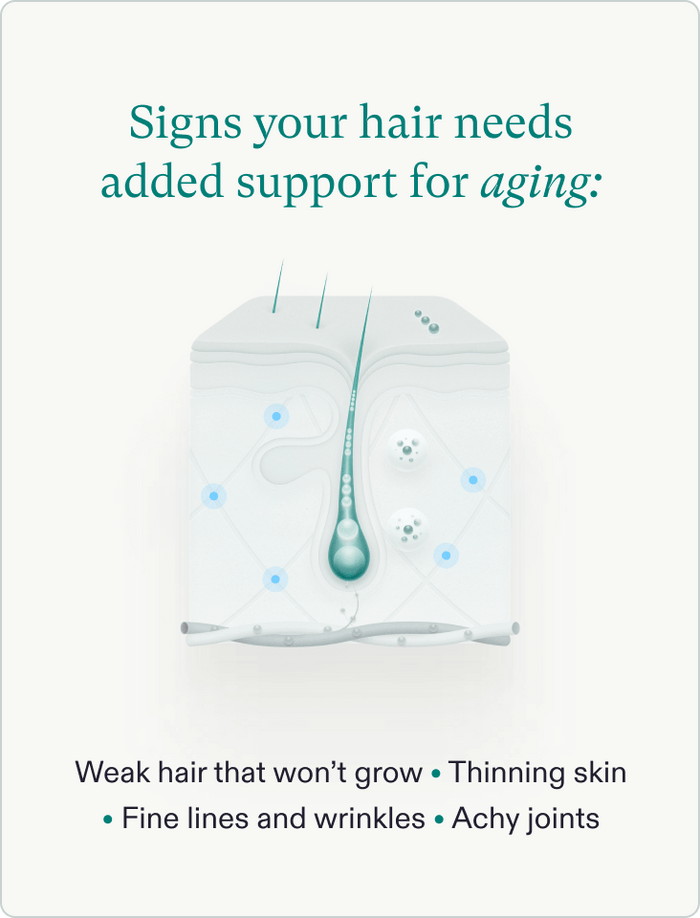 Nutrafol Collagen Infusion Powder