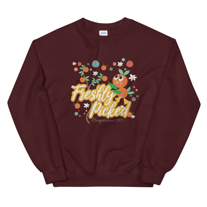 Orange Bird Sweatshirt Freshly Picked Oranges for Flower and Garden