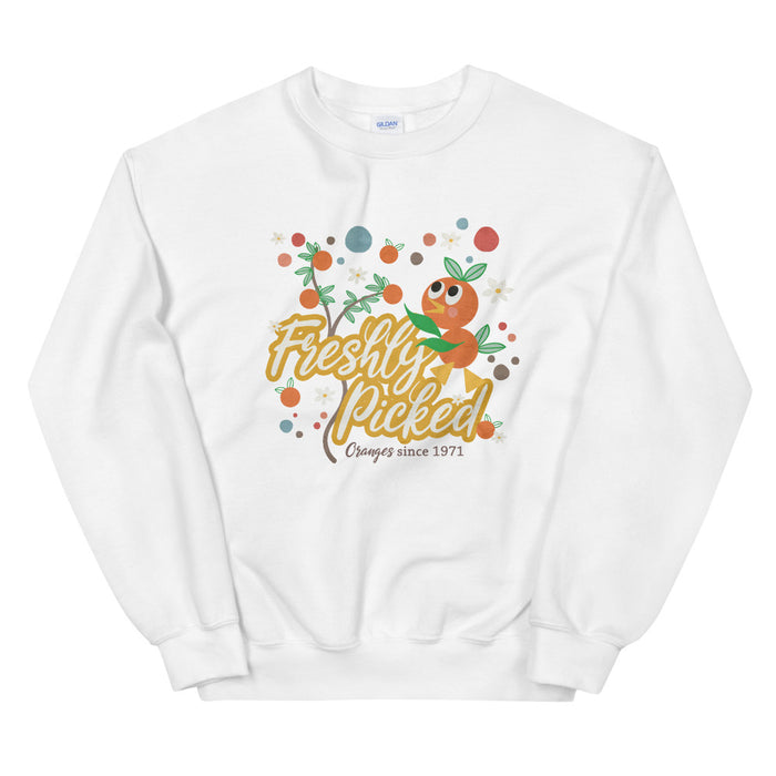 Orange Bird Sweatshirt Freshly Picked Oranges for Flower and Garden