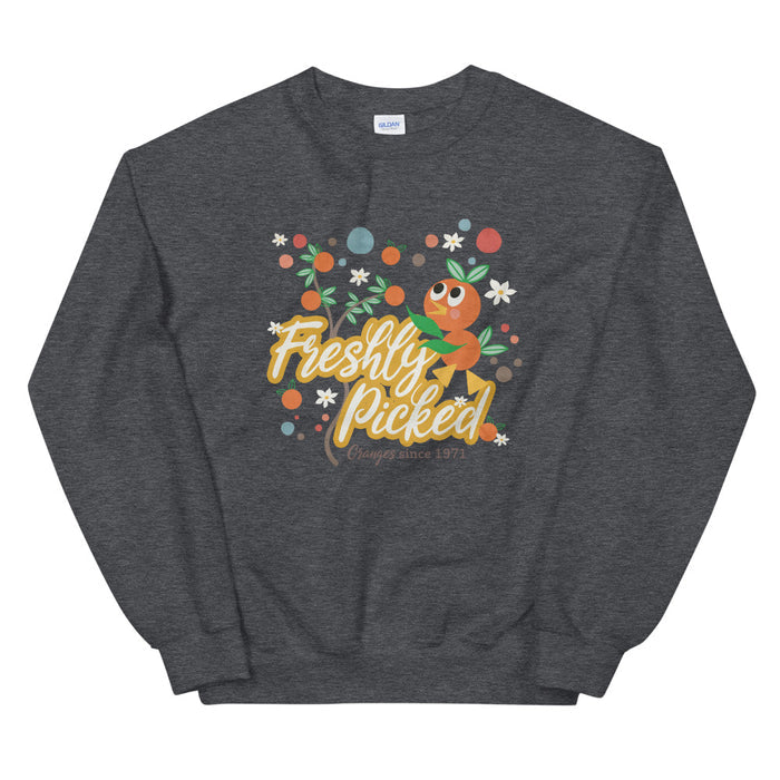 Orange Bird Sweatshirt Freshly Picked Oranges for Flower and Garden