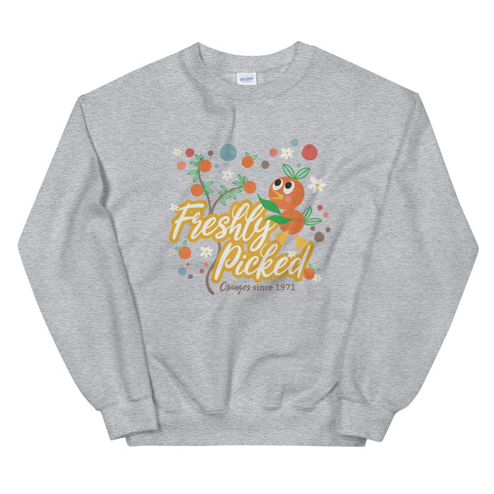 Sport Grey / S