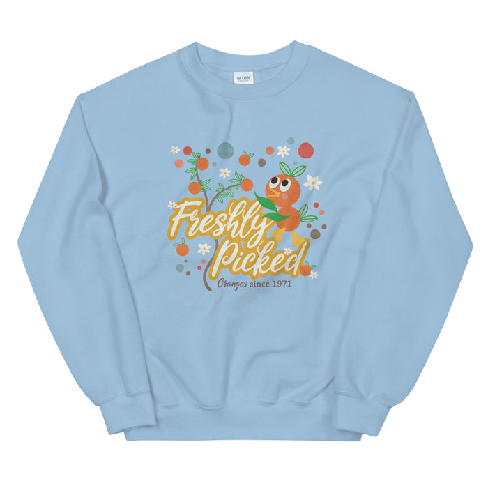 Light Blue / S