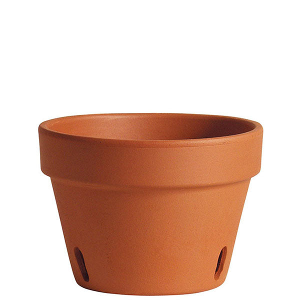 Orchid Pot cm. 21 (8.30")