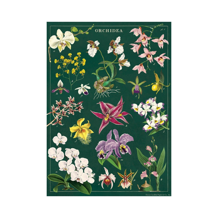 Orchid Wrap Sheet - Cavallini & Co.