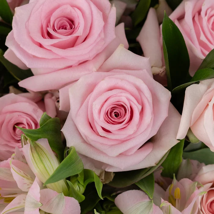 Pale Pink Diy Flower Kit Close Up - Image