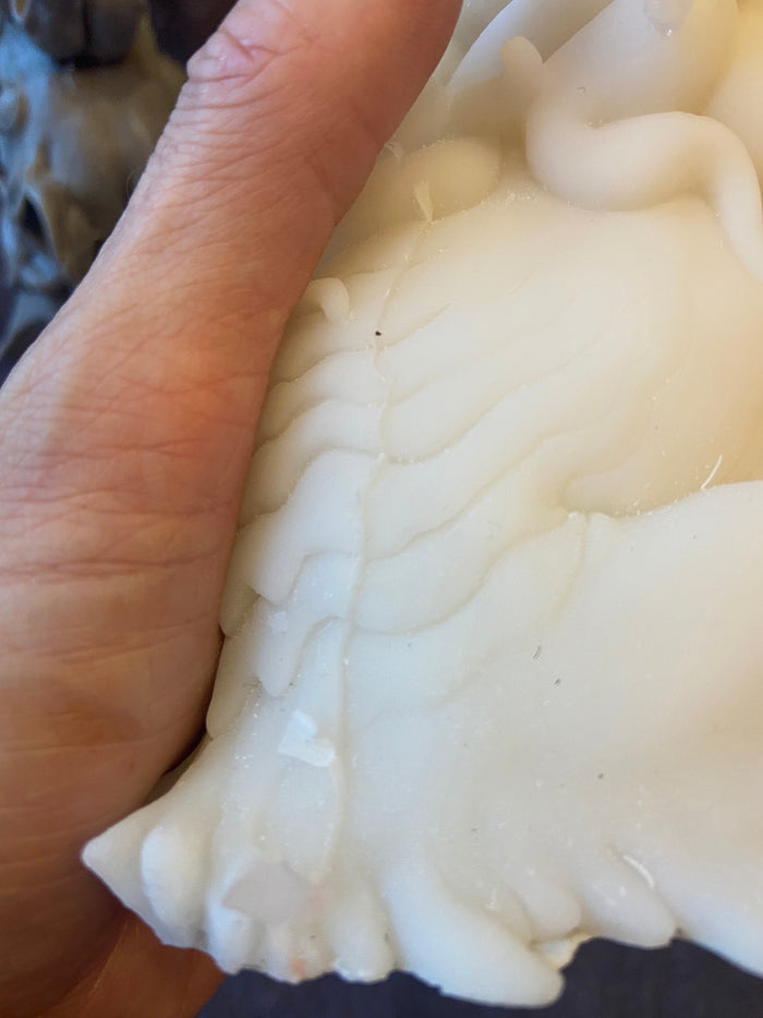 PATREON- CUTTLE BAKU MISCAST