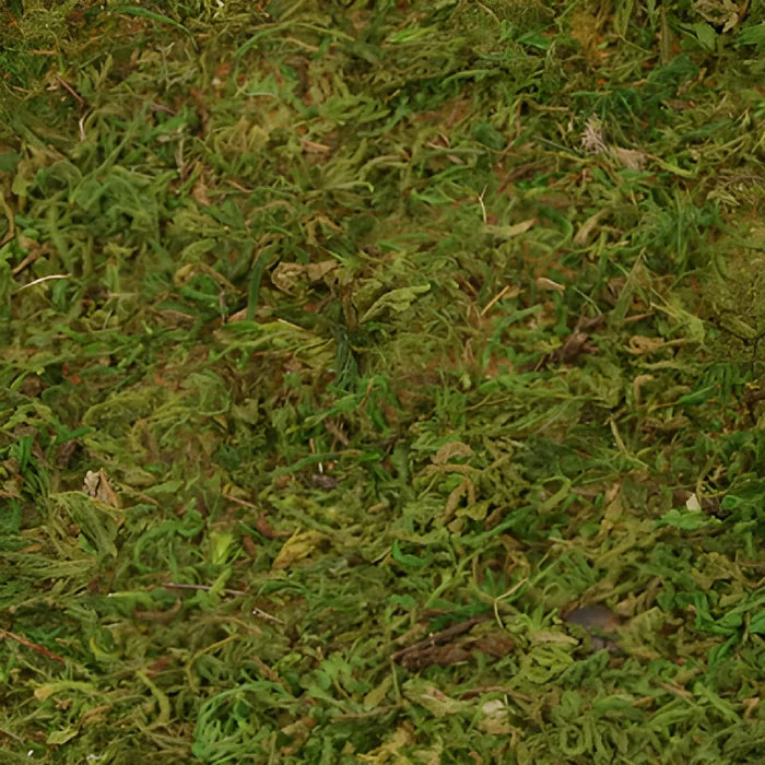 Peel N Stick Mossy Mats