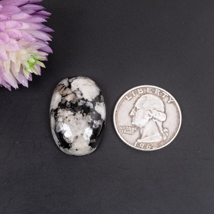 Phenakite Cabochon 45.95 ct 29x19mm - InnerVision Crystals