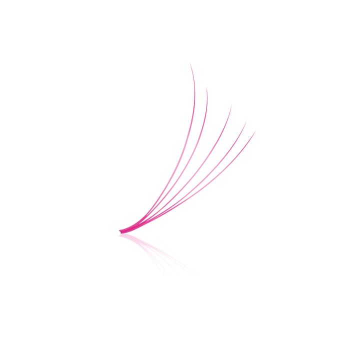 Pink 5D ProMade Loose Fans - 0.07 - 475-530 Fans - Paris Lash Academy