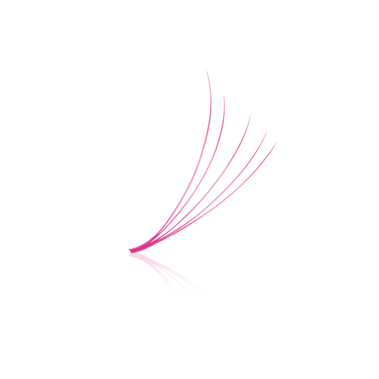 Pink 5D ProMade Loose Fans - 0.07 - 475-530 Fans - Paris Lash Academy