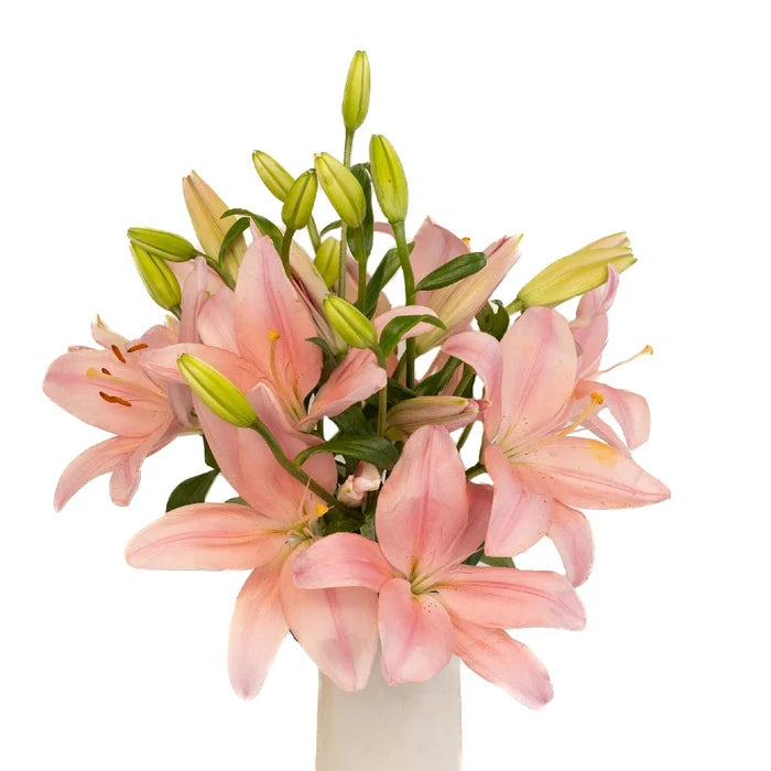 Pinky Mauve Hybrid Lily Vase - Image