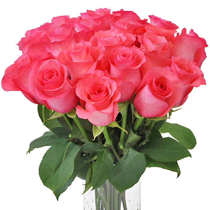 Pinky Promise Rose